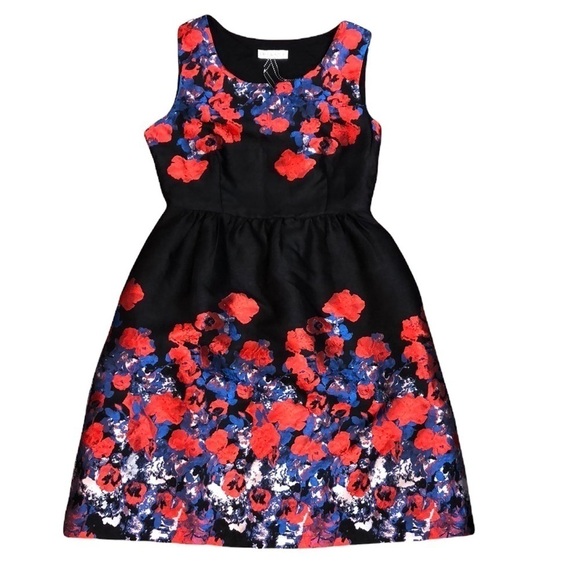 Frock Shop Black Blue Red Brushstroke Floral Fit and Flare Dress Size Small - Picture 1 of 9
